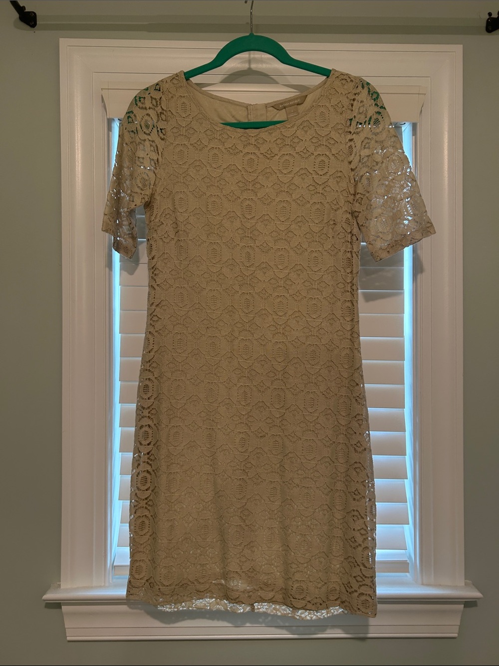 Banana Republic Lace Short Sleeve Shift Dress in Beige Size 4